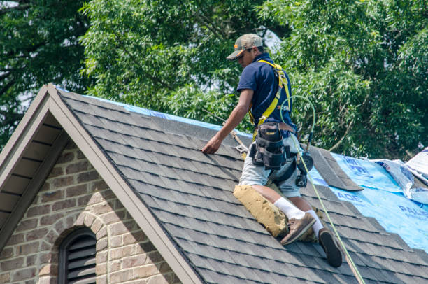 Best Roof Repair Services  in Prairie Du Chien, WI